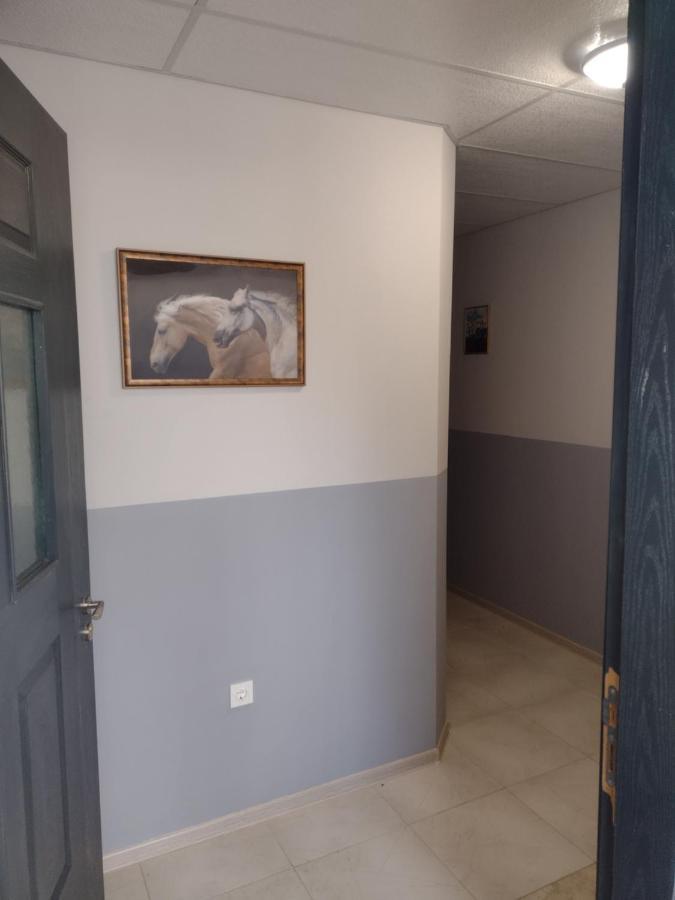 Apartments Emiza Σάμοκοβ Εξωτερικό φωτογραφία